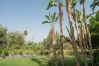 Villa en Marrakech - Villa ADNAA