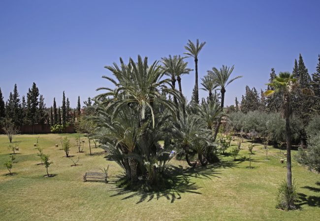 Villa en Marrakech Palmeraie - AME-ZA