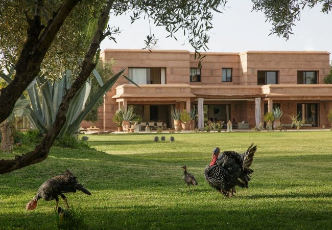 Villa en Marrakech - MISH-MISH