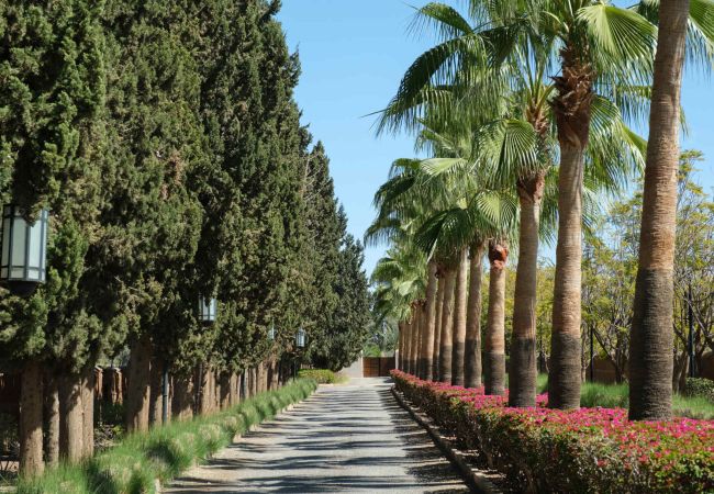 Villa en Marrakech - Villa JENAMAN