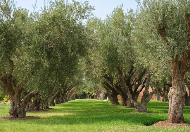 Villa en Marrakech - TAMARI