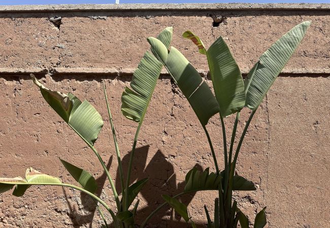 Villa en Marrakech - YASIRA