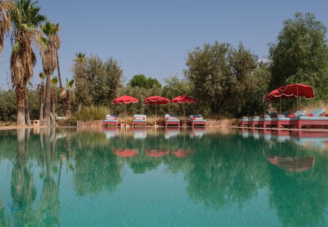 Villa en Marrakech - DAR TANIA
