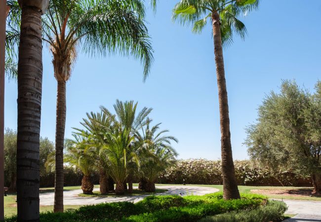 Villa à Marrakech - MEXANCE Villa prestige