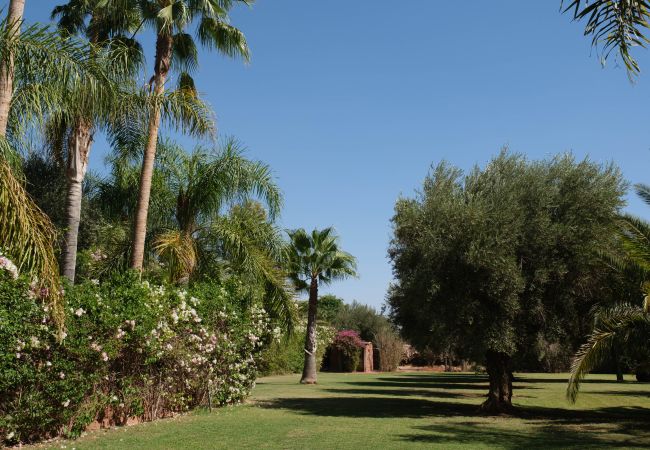 Villa à Marrakech - MEXANCE Villa prestige