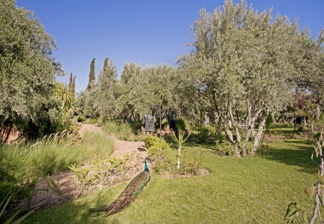 Villa à Marrakech Alentours - CLOS DES OLIVIERS