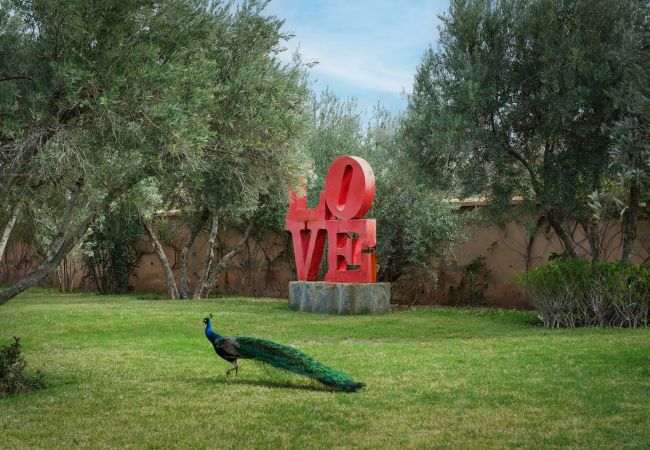 Villa à Marrakech Alentours - CLOS DES OLIVIERS