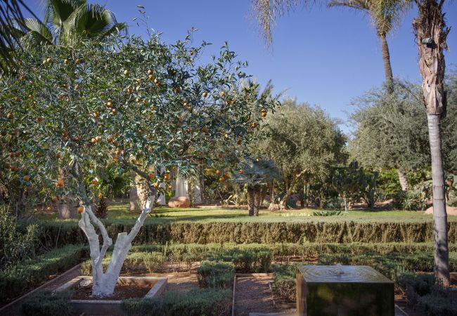 Villa à Marrakech Palmeraie - DAR HA