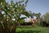 Villa à Marrakech - CHOCOLAT - Proches des golfs et du centre-ville