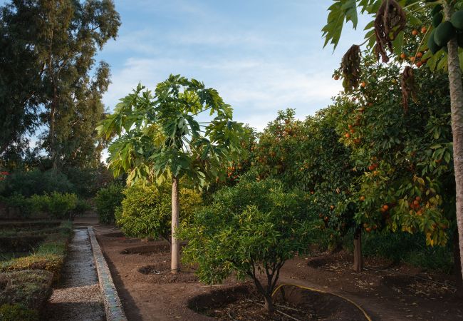 Villa in Marrakech - MAJDOU