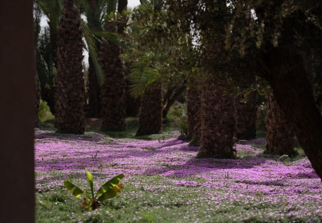 Villa in Marrakech Palmeraie - KERGONDÉ - Private pool, tennis and padel courts