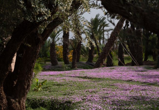 Villa in Marrakech Palmeraie - KERGONDÉ - Private pool, tennis and padel courts