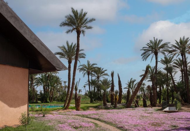 Villa in Marrakech Palmeraie - KERGONDÉ - Private pool, tennis and padel courts