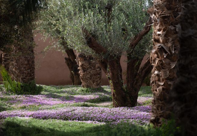 Villa in Marrakech Palmeraie - KERGONDÉ - Private pool, tennis and padel courts