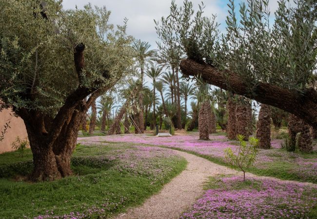 Villa in Marrakech Palmeraie - KERGONDÉ - Private pool, tennis and padel courts
