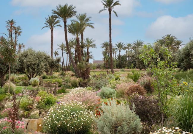 Villa in Marrakech Palmeraie - KERGONDÉ - Private pool, tennis and padel courts